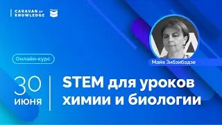 Методики для STEM-уроков: Химия и биология Майя Зибзибадзе