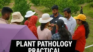 Practical day , plant pathology 🌳🌧️#2025 #vlog #iari #niasm