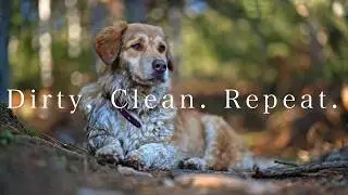Dirty.  Clean.  Repeat.