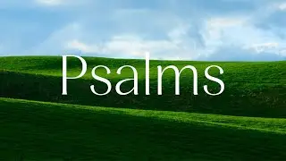 God's Wonderful Knowledge | Psalm 139