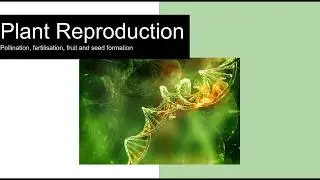 Plant Reproduction pollination fertilisation seed and fruit formation