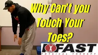 Why Can't You Touch Your Toes? Do you think it's tight hamstrings? Think again.