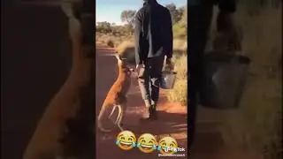 وووووو