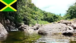 Jamaica Kingston - Wag Water River Pools and Castleton Botanical Gardens