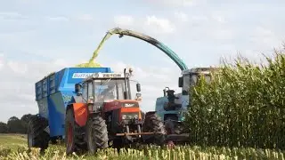 ⛔ZTS⛔Akcja QQ w Gr Święcki ⭐️Całodobowo⭐️Case⭐️Krone⭐️Euromilk