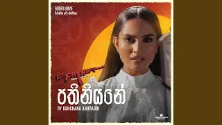 Pathiniyane (From 