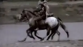 The Return of the Horse | Wild New World | BBC Studios