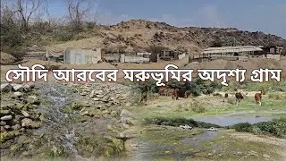 সৌদি আরবের মরুভূমির অদৃশ্য গ্রাম যেখানে নেই কোনো নেটওয়ার্ক | The invisible village of Saudi Arabia