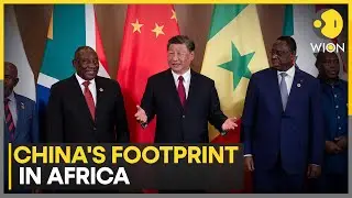 Trump's Tariffs Push China To African Markets | WION Business Watch