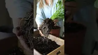 Mester Gr&oslash;nn Planteguide - Vekstmedium