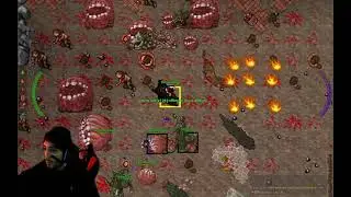 🔴 Tibia PVP & PVE Live Stream