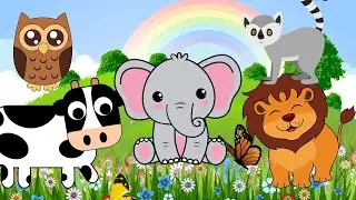 Animal sounds around us: CAT, DOG, HORSE, PIG, COW, BIRDS - Animal videos
