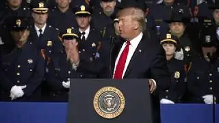 Trump calls MS-13 gang members 'animals'