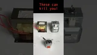 Most deadly microwave parts.