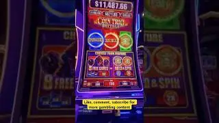 BUFFALOO! DOUBLE POP! BUFFALO Coin Trio Bonus! new slot for us! #slot #gambling #casino #slotmachine