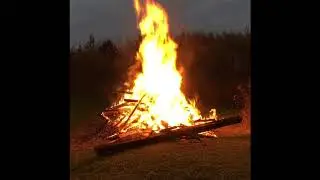 Bonfire short video