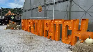 Pumpkin Patch In Miami - By Brothers #farms #farmanimals #miami
