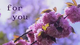 Burning Blossoms, SUNFLOWƏR - I hate I love (Lyric Video)