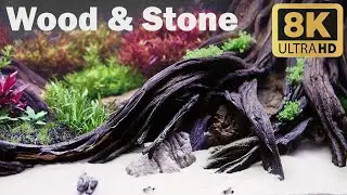 Breathtaking Aquascape With Wood & Stone
