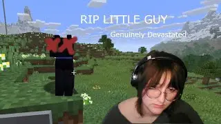 Minecraft Cat Tragedy