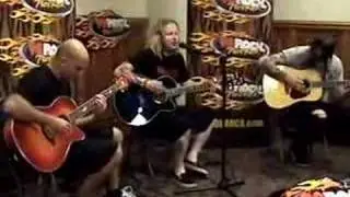 stone sour - through the glass (acoustic)
