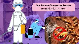 Termite Treatment Ela Chestaru? How We Do Termite Treatment |Step by Step Process| post construction