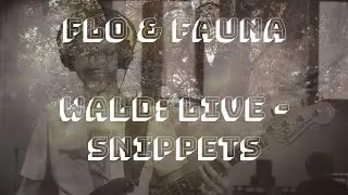 Flo & Fauna - Wald: live Snippets
