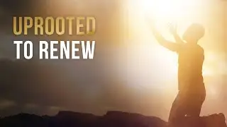 Uprooted to Renew | Pastor Kevin Ward