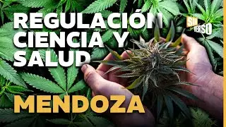 Avanza el CANNABIS MEDICINAL en Mendoza: Nuevo Marco Legal, Industria, Laboratorio y Producci&oacute;n 2026