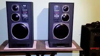 Радиотехника S90-D зеркальные в новых корпусах из 20мм фанеры берёза