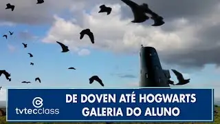 De Doven at&eacute; Hogwarts - Galeria do Aluno - TVTEC Class