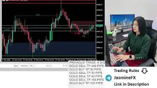 Live trading XAUUSD GOLD 17/02/2026