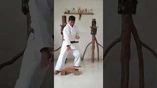 # How to #break a  Brick #with your hand #viralvideoshow to break bricks with hand,break bricks with