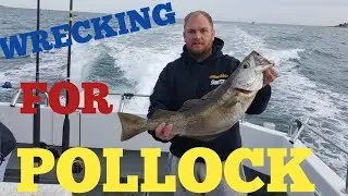 Wrecking for pollock sidewinder and redgill lures sea fishing on a boat