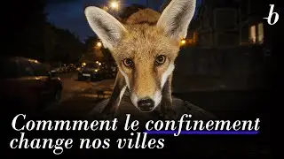 Comment le confinement change nos villes