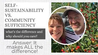 SELF SUSTAINABILITY VS COMMUNITY SUFFICIENCY