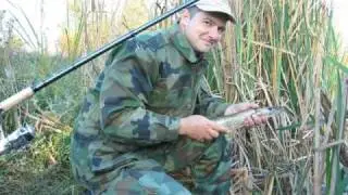 Ribić mlađi i Peđa - Drma,drma plovak