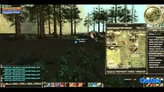 Road to Timak Seer Ragoth 57 lvl