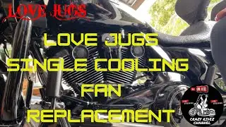 Замена вентилятора Love Jugs Single на Harley Davidson
