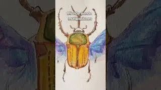 Mi vida siendo #polimata  #polimatia #idiomas #art  #science #hobbies #pasatiempos #poliglota