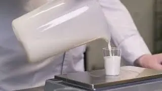 Cuisson de yaourts au four mixte iCombi Pro | RATIONAL