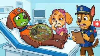 PAW PATROL: Zuma&rsquo;s Silly Trash Mishap! 🗑️ Hospital X-Ray Fun | Funny PAW Patrol Animation