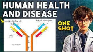 Complete HUMAN HEALTH AND DISEASE One Shot 🔥 | Class 12 Biology Revision NEET 2025