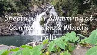 Epic Waterfalls & Swimming Holes - Josephine, Cannabullen, Windin & Millstream Falls