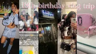 MY 18TH BIRTHDAY VLOG || traveling to atl, going out, etc