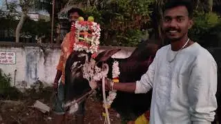 ಸಂಕ್ರಾಂತಿ 💐💐ಹಬ್ಬ🌾 ಅಂತ 🌼🌴ಊರಿಗೆ ಬಂದ್ರೆ ಈ ತರ ಎಲ್ಲಾ ಅಗೋಯ್ತು😡full video nodi#vlog #nammakarnataka #mandya