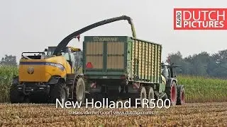 Mais 2014 | New Holland FR500 | Gebr. Van Erp | Oss |Maize|Corn|Hakselen|Harvesting|Ernte