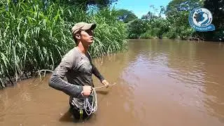 Tirando la atarralla en el río las aventuras de Jonathan y El Patechucho parte 9