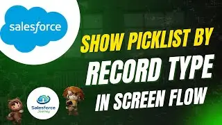 Picklist by Record Type in Salesforce Screen Flow | Screen Flow Record Type Picklist