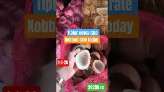 Tiptur copra rate, Kobbari rate today, Kobbari market rate today #copramarket